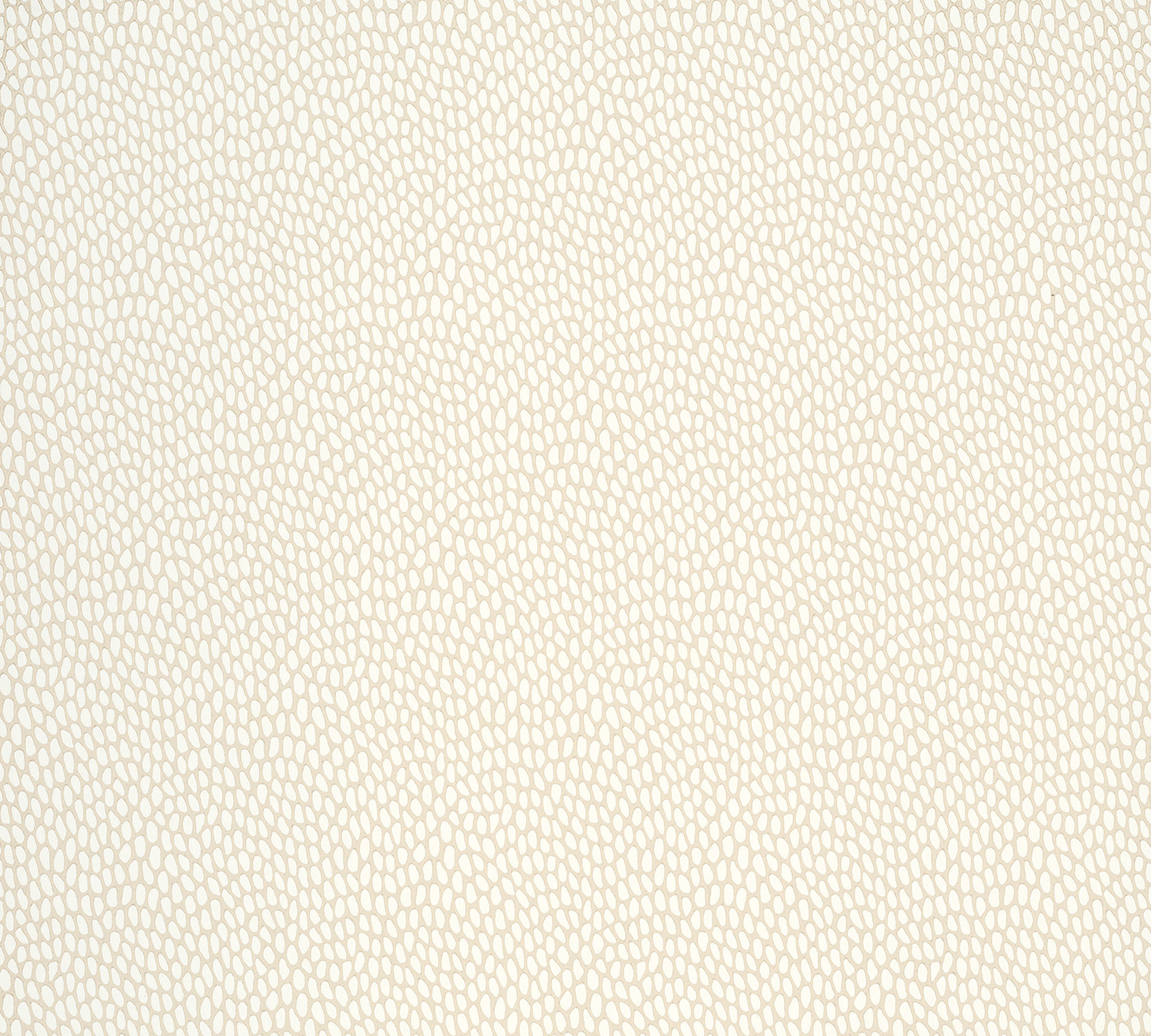Обои Paint & Paper Library Botany Seedpod Sand 0360SESANDZ